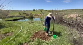 25 Yıldır Fidan Diken Sağlık Memuru Gelecek Nesillere Yeşil Miras Bırakıyor