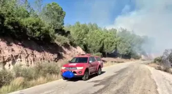 Adana Ceyhan'da Orman Yangınına Müdahale Başladı