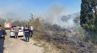 Adana Ceyhan'da Orman Yangını Çıktı