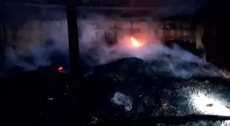 Adana'da Ahır Yangınında 5 İnek Telef Oldu