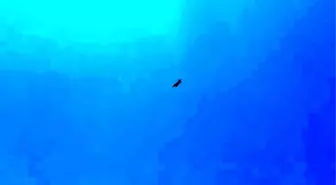 Adıyaman'da F-16 Heyecanı: Anadolu Kartalları Tatbikatı Gerçekleşti