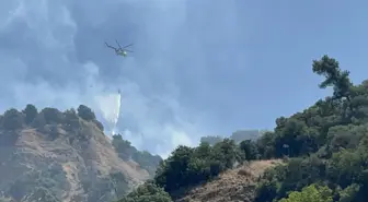 Aydın'daki Tarım Alanında Yangın Kontrol Altına Alındı