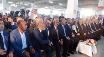 Bakan Kacır: Kilis'te Yeşil Geçiş Projesi ile Yeni İstihdam Fırsatları