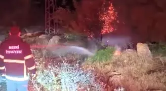 Adıyaman'da Orman Yangını: 600 Dönüm Kül Oldu