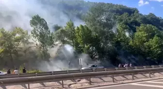 Bursa'nın İnegöl ilçesinde orman yangını devam ediyor
