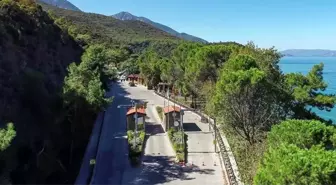Aydın'da Dilek Yarımadası'nda Yangın Yolu Açılacak