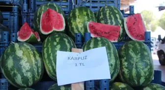 Adana'da Karpuz Fiyatları Düşüşte: Halde 1 TL, Marketlerde 14 TL
