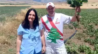 Bulgar Turistler Yozgat'ta Şeker Pancarıyla Tanıştı