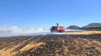Gaziantep'te Anız Yangını: 150 Dönüm Arazi Zarar Gördü