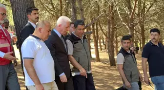 Sultangazi Kent Ormanı'ndaki Yangın Kontrol Altına Alındı
