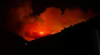 Ödemiş'te Orman Yangını Çıktı
