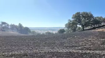 Kütahya'da Orman Yangını 11 Saatte Kontrol Altına Alındı