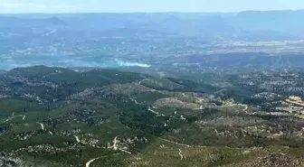 Mersin'de Orman Yangınları: Ekipler Müdahalede Bulundu