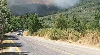 Muğla Menteşe'de Orman Yangını