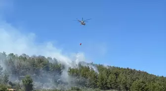 Marmaris'te Orman Yangını Kontrol Altına Alındı