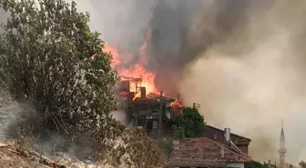 İzmir'deki Orman Yangınında Yatalak Yaşlı Adam Hayatını Kaybetti