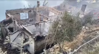 İzmir'de Orman Yangını: 80 Yaşındaki Adam Hayatını Kaybetti