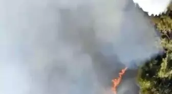 İzmir'de Orman Yangınına Hava ve Karadan Müdahale Devam Ediyor