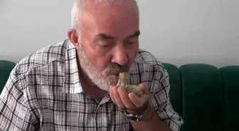 Yusuf Ovalı'nın Yavru Güvercin Kurtarma Hikayesi