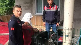 Kayıp Kadın Ordu'da Sağ Olarak Bulundu