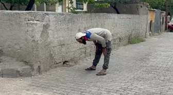 Polisi görünce namaza dursa da işe yaramadı