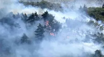 Sakarya'daki Orman Yangınının Sebebi Biçerdöver