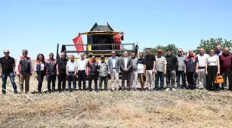Silivri'de Buğday ve Kanola Hasadı Başladı