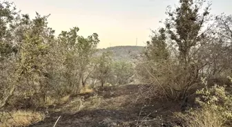 Uşak'ta Tarım Arazisinde Yangın: 2 Kişi Gözaltında