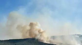 Uşak'ta Tarım Arazisindeki Yangın Meşelik Alana Sıçradı