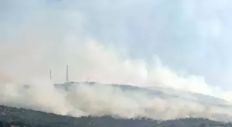 Uşak'taki Yangına Müdahale Devam Ediyor