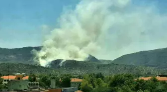 Selçuk'ta Yangın Paniği: Alevler Zeytinliklere Sıçradı