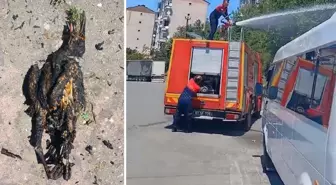 Yüksek gerilim hattına konan karga yangın çıkardı