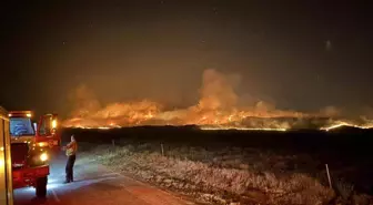 California'da Orman Yangını 52 Bin Dönümü Küle Çevirdi