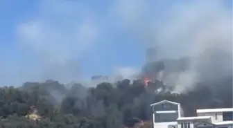 Mudanya'da Orman Yangını Paniğe Neden Oldu