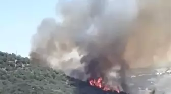Balıkesir'de Ormanlık Alanda Yangın