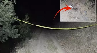 Bir garip intihar olayı! Çalıntı araçla kaçtı, jandarmaya yakalanınca canına kıydı