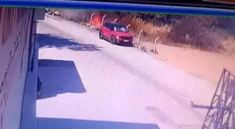 İzmir'de Orman Yangınına Kaçak İnşaat Sebep Oldu