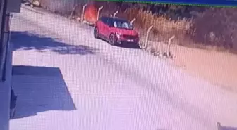Buca'daki orman yangınının çıkış anı görüntüsü ortaya çıktı
