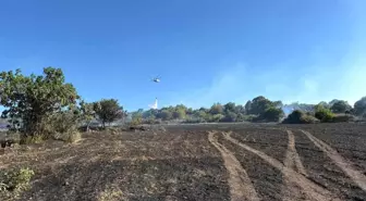 Çanakkale'de Tarım Arazisinde Yangın Kontrol Altına Alındı