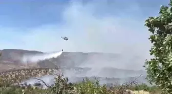 Şırnak'ta Gabar Dağı'nda Orman Yangını