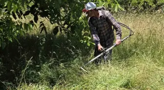 Gümüşhane'de Ot Biçme İşlemi Teknolojiyle Kolaylaştı