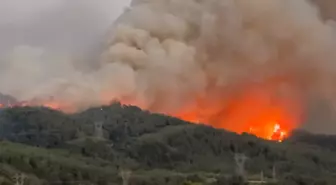 Hatay'da Orman Yangını Büyüyor