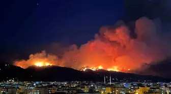 Hatay'da Orman Yangını: Ekipler Seferber Oldu