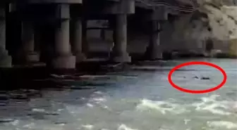 Kırıkkale'de Köprüden Nehre Atlayan Genç Kayboldu