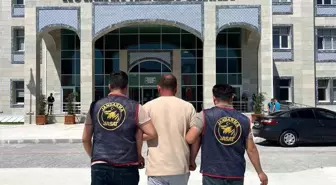 Kütahya'da Jandarma Operasyonu: 58 Şahıs Yakalandı