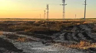 Konya'da Buğday Tarlasında Yangın: 15 Dekar Kül Oldu