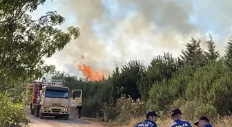 Gebze'de Ağaçlık Alanda Yangın Çıktı