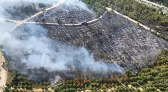 Kocaeli'de Yangın Kontrol Altına Alındı