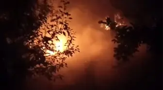 Adana'da Bahçede Çıkan Yangın Kontrol Altına Alındı