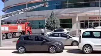Nusaybin'de Mahsur Kalan Kedi İtfaiye Ekipleri Tarafından Kurtarıldı